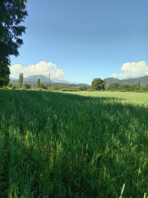 Cabaña El Nogal
